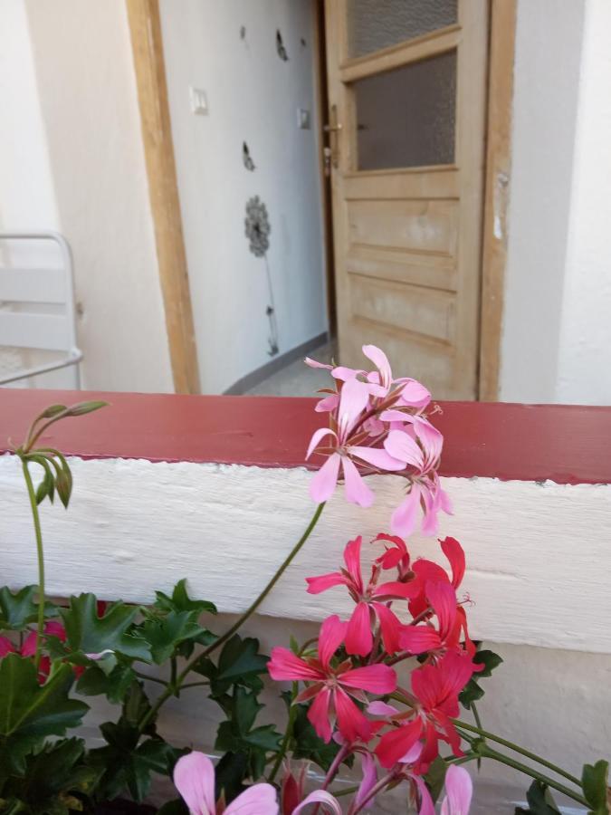 CastelfondoDa Valentina公寓 外观 照片